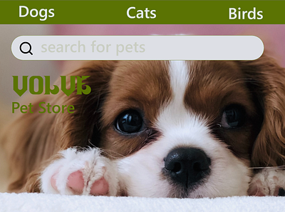 search bar for a pet store dailyui