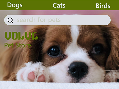 search bar for a pet store