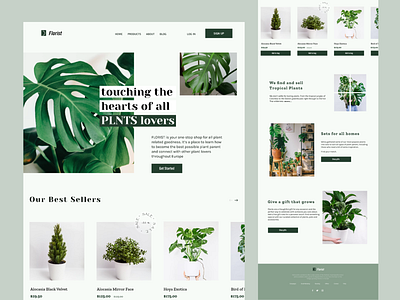 Florist- Plants Shopping Page app clean design flower minimalist plants shop shopping ui ux web web design web page