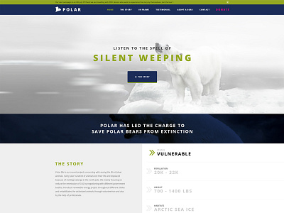 Polar Environmental Website Design WIP
