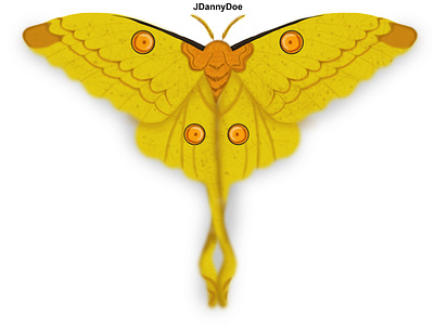 Ilustración Mariposa amarillo art arte ciencia design dibujo dibujos diseño illustration ilustraciondigital jr mariposa photoshop
