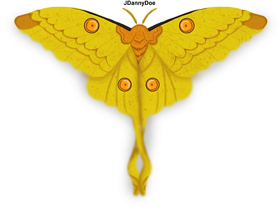 Ilustración Mariposa
