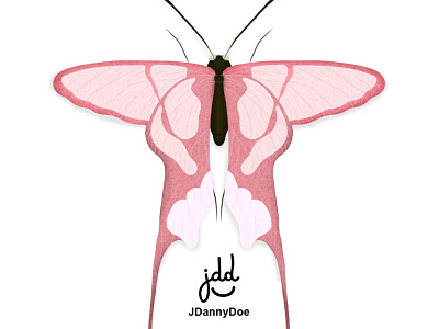 Ilustración Mariposa art ciencia design dibujo dibujos illustration ilustraciondigital jr mariposa photoshop rosa