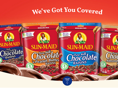 Sunmaid Choco brand identity graphic design landing page ux ui design website design