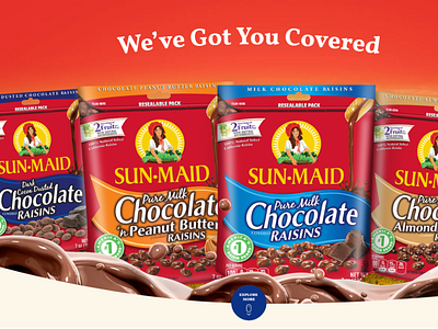 Sunmaid Choco