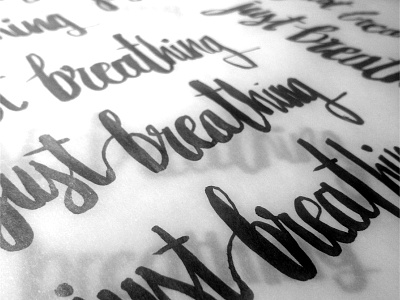Brushpen brushpen handlettering handtype ink lettering pentel sketch typography