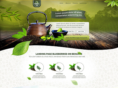 Dribbble Shot Herbal T herbal organic photoshop web page webdesign