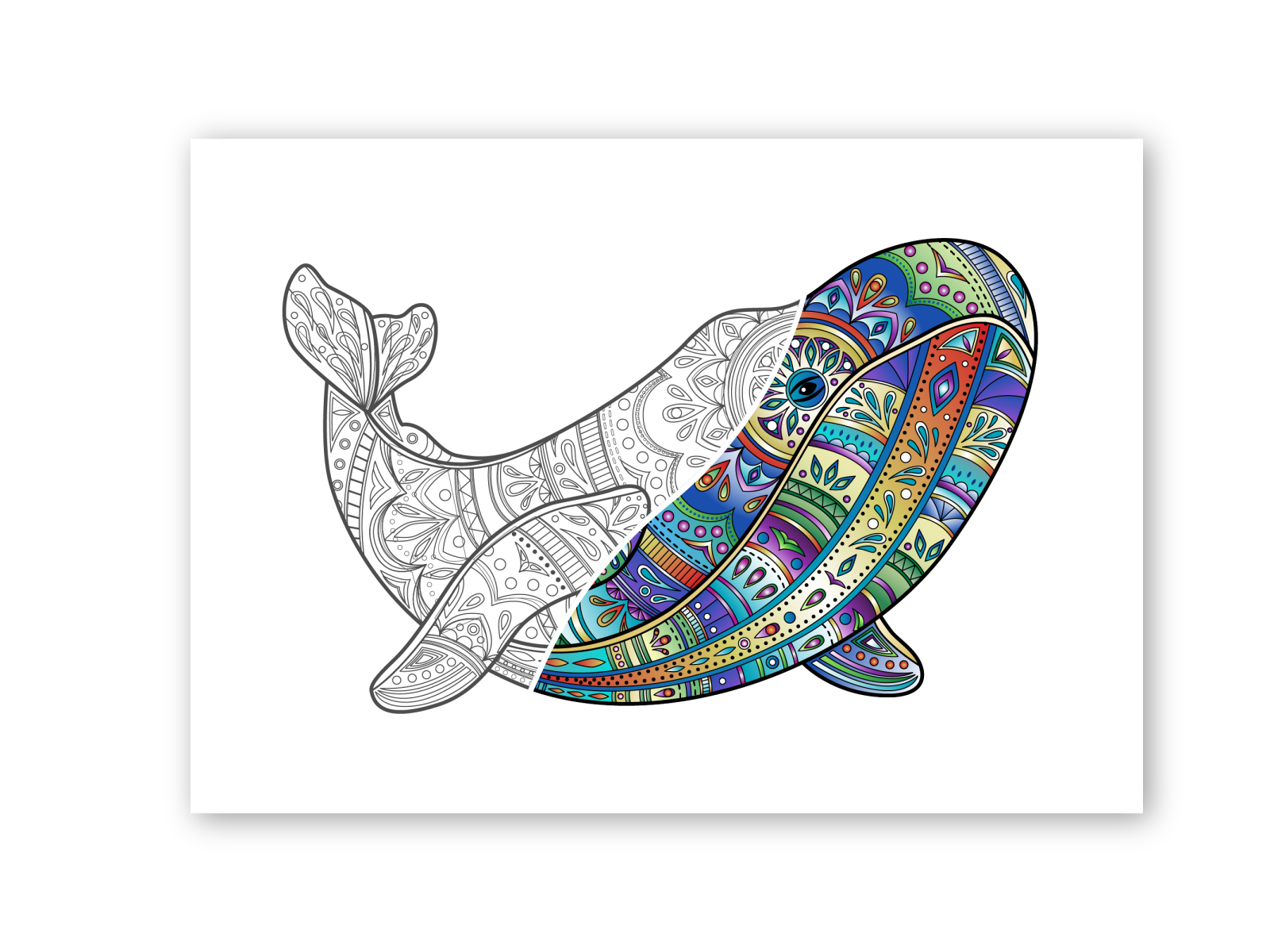 whale coloring page