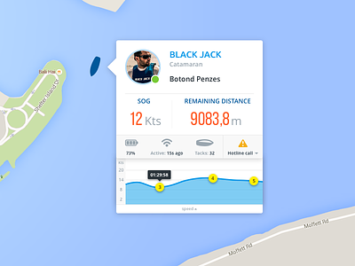 Boat card profile boat chart data graph pop up profile realdesign sailing sketch speed ui webdesign