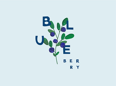 Blueberry beginner berries berry blue blueberry design illustration minimal summer vector