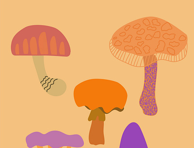 Mushrooms forest autumn illustration mushrooms plant vector