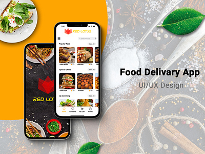 UI/UX Design of Food Delivery App