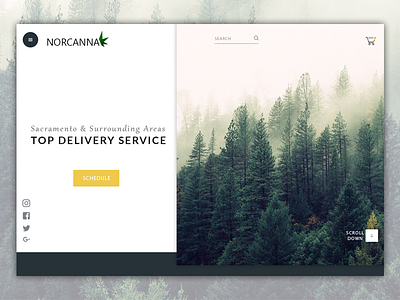 Norcanna Index Page - Redesign cannabis ecommence forest green landing page marijuana