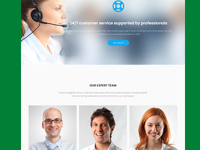 Customer services landing page elementor elementor pro landing page landing page design sales page squeeze page web design website design wordpress wordpress design wordpress plugin wordpress theme