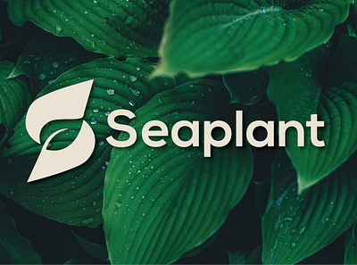 Seaplant brand Identity brand branding creative design designer graphic graphic design illustration logo logo design ui vector