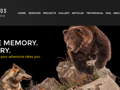 Wildlife Studios Comp V2 animals leopard rhino web design website design wildlife