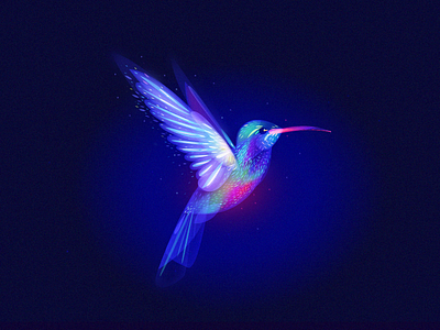 Colibri's dream bird colibri light