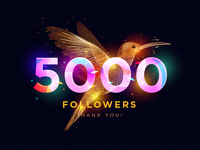 5000 Followers 5000 colibri dribbble followers
