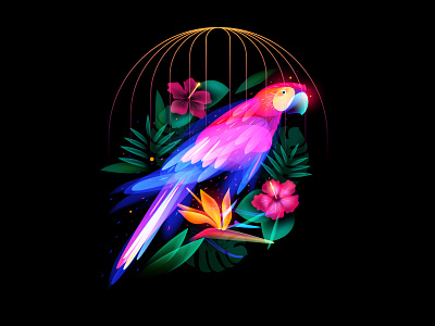 Fantasy Parrot adobeillustator behance bird cage fantasy light flower illustation jungle parrot set