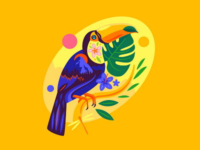 Toucan by Ilya Shapko on Dribbble