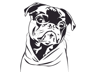 pet vector line art