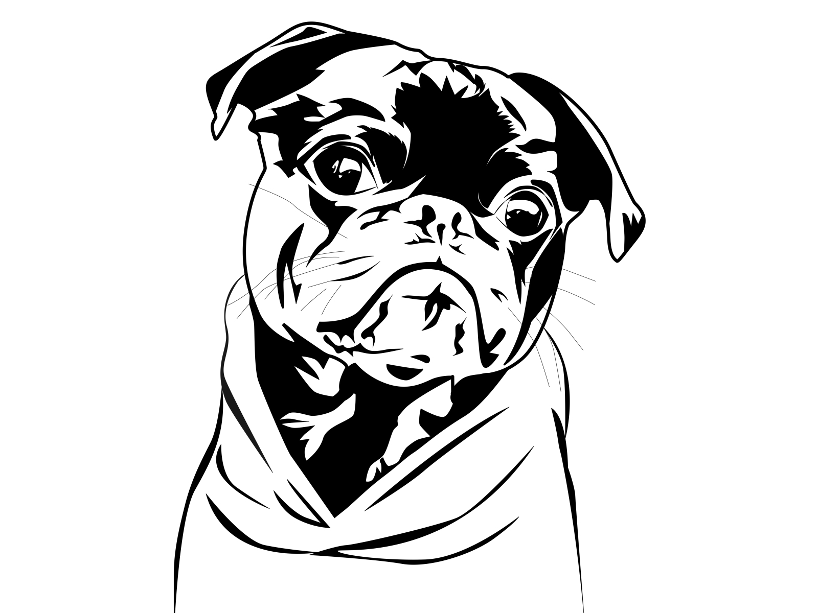 pet vector line art by Imran Shabbir on Dribbble