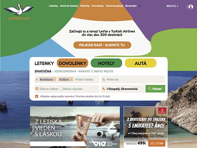 Pelikna website design design web web design webdesign website