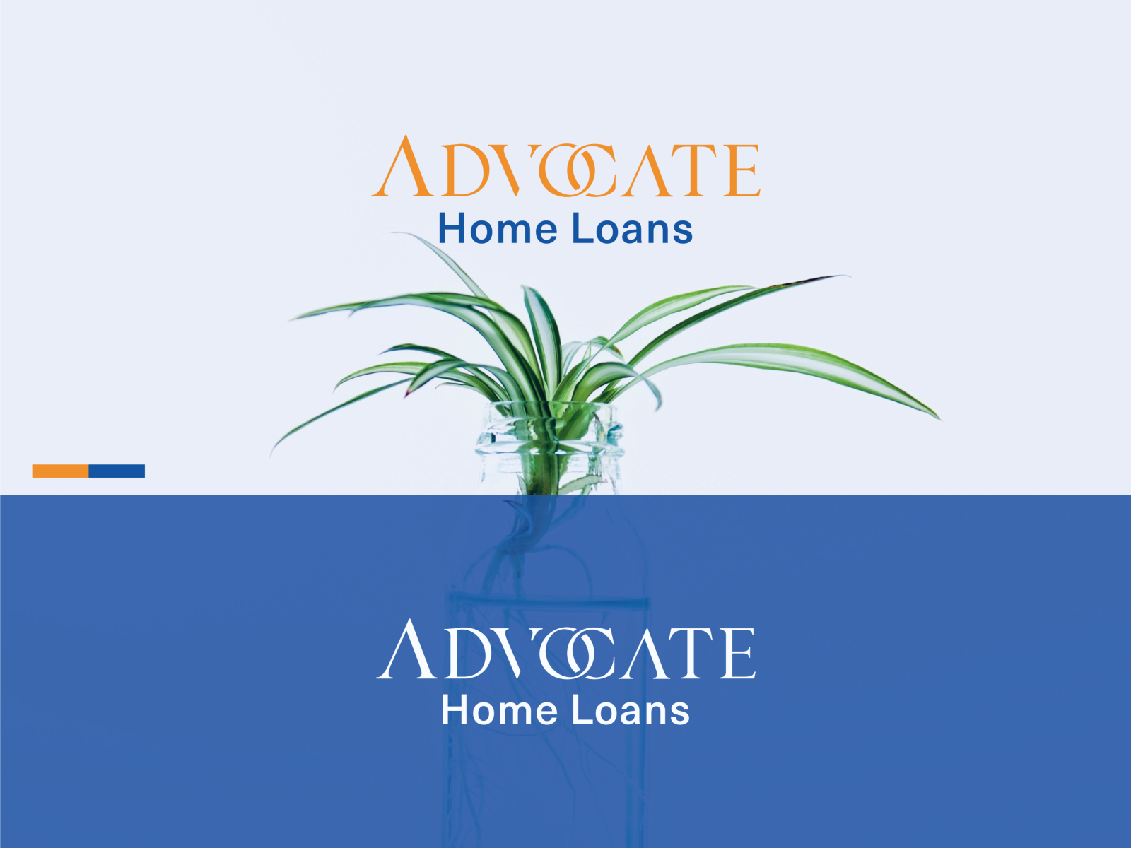 Advocate Home Loans by Md Rakibul Islam on Dribbble
