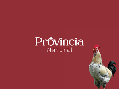 Simplicity Meets Elegance.
Provincia Natural_Logo Design