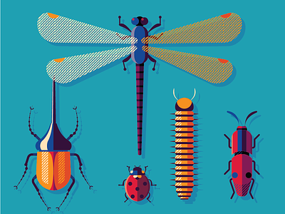 Bugs Family beetles bugs design illustration insects vector