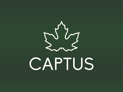 CAPTUS branding design hemp logo natural logo tree logo