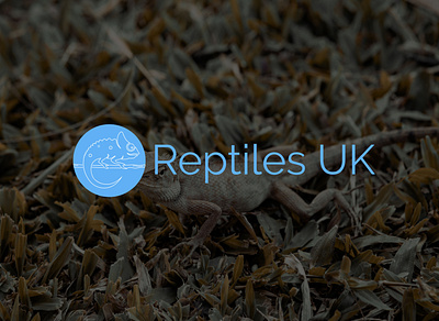 REPTILES UK app logo brand kit branding design crypto logo design food logo illustration tech tech logo