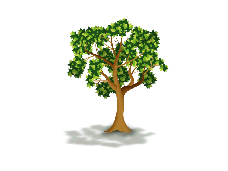 2D Peaceful Tree 2d animation adobe after effects adobe illustrator animation forest illustration motion design motion graphics nature tree vector