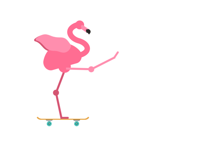 Skater Flamingo