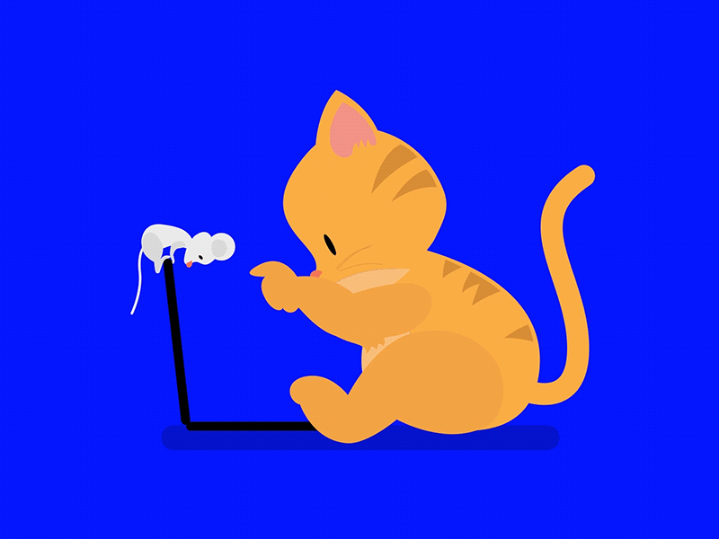 Cat & Mouse animation cat enjoy internet kitty like mice motion motion design motion graphics mouse pet
