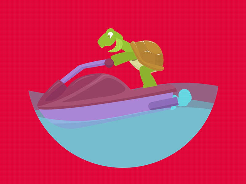 Fast Turtle animation jetski motion motion design motion graphics ocean pet sea sport turtle water