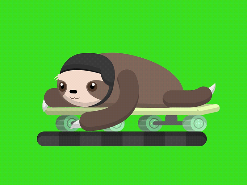 Skater Sloth 2d animation after effects animal animation animation 2d design helmet motion motion design motion graphics pet skate skateboard skater sloth sport