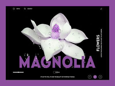 Magnolia Design Concept