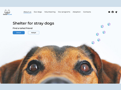 Shelter for stray Dog - Landing Page app design inspiration mobile pets shelter ui ux