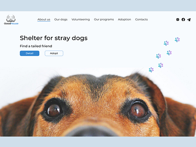 Shelter for stray Dog - Landing Page