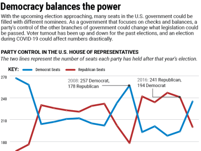 US Election and Party Control Infographic dataviz design illustrator infographic information design