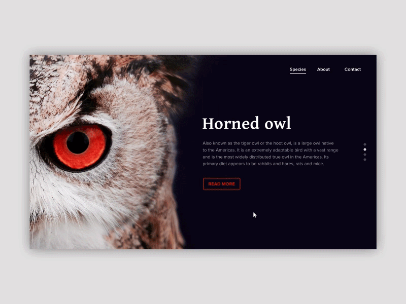 The great horned owl animation interaction motion ui ux