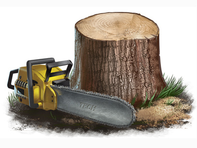 Tree & Chainsaw