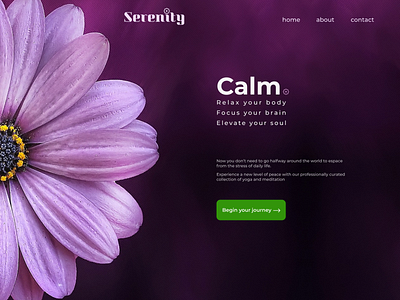Serenity - Meditation App app design meditation peace relax ux web