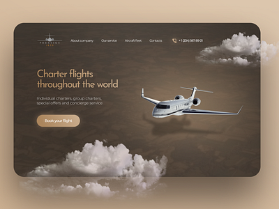 Landing page for Aviation company