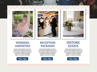 Wedding Venue Web Design Revised design fleur de lis venue web website wedding