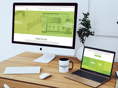 AST Web Design ast dezinsinteractive green web design website