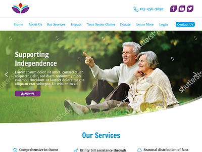 Council on Aging Website WIP curve design dezinsinteractive graphic design icons web website