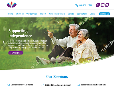 Council on Aging Website WIP