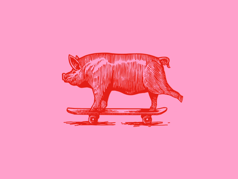 Shredded Pork pig pork skate skateboarding skater